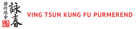 Ving Tsun Kungu Fu